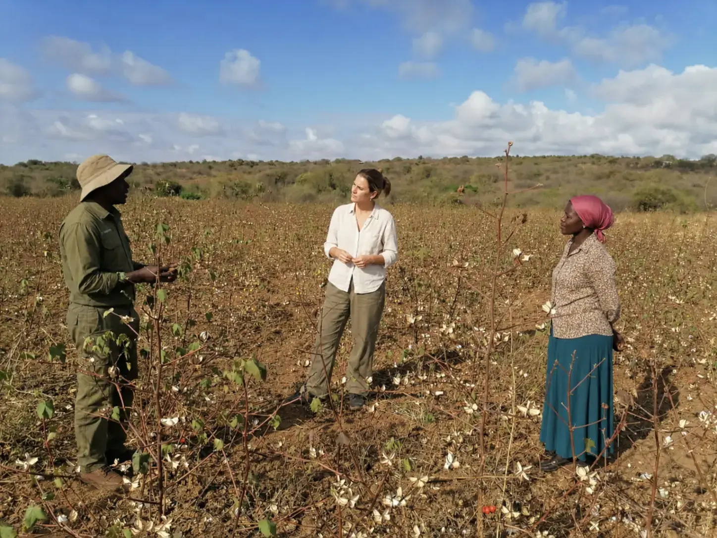 Cotton-field dialogue connecting Kenyan production and European markets